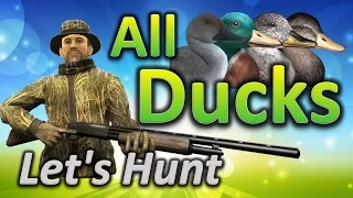 Let's Hunt ALL DUCKS - theHunter Classic