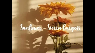 Sunflower [] Sierra Burgess [] 1 hour loop