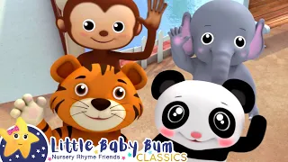 EENY MEENY MINY MOE | Little Baby Bum Animal Club | Fun Songs for Kids