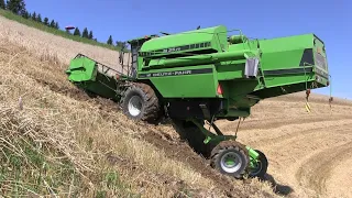 Combine Harvester stuck | Wheat harvest at the limit 2021