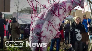 Inside Japan’s Global Dolphin Trade