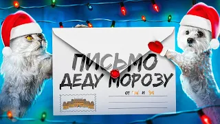 ПИШЕМ ПИСЬМО ДЕДУ МОРОЗУ ОТ ПИТОМЦЕВ! КОТ КЕВИН И БИЛЛИ ПРИДУМАЛИ ПОДАРКИ