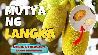 MUTYA NG LANGKA | PAPAANO MAKUKUHA? | Bhes Tv