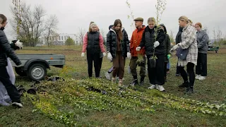 200 деревьев высажены эковолонтёрами на карбоновом полигоне НИУ «БелГУ»