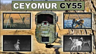 🦌 2022 Review: Ceyomur CY55 Trail Camera. Testing and Samples 🦌