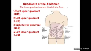 Lec:07 - Medical Terminology / د. مسلم ناهي