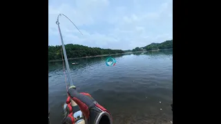 Virtual Reality Fishing 🦈 Real VR Fishing 🎣 Oculus Quest 2