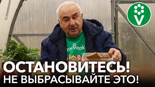 ЧТО СКРЫВАЮТ БЫВАЛЫЕ ОГОРОДНИКИ? Бесплатные удобрения для сада, огорода, рассады, комнатных цветов