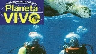 Planeta Vivo - Nas Águas do Pacífico