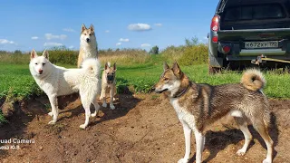 Перед отъездом о выставке