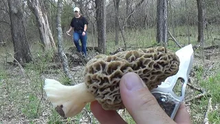 Morel slurry UPDATE and mushroom hunt Ep 236