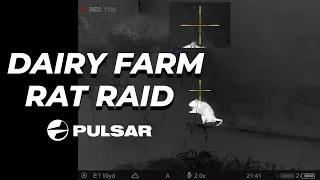 Farm Rat Raid with Tim and the Pulsar Thermion 2 XP50 PRO