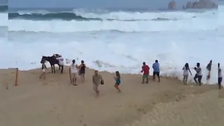 Unexpected Wave Compilation - People Getting Hit By Waves