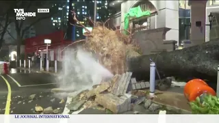 Le typhon Saola s'abat sur la Chine