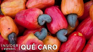 Por qué son tan caros los anacardos | Qué caro | Insider Español