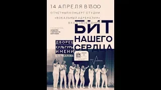 Отчётный концерт «Бит нашего сердца!»