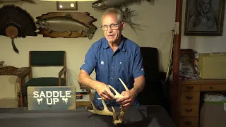 32. How to score a Whitetail buck and tips on judging them on the hoof