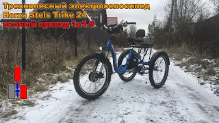 Трехколесный электровелосипед Horza Stels Trike 24 полный привод, 1500 W