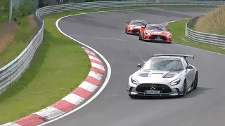 AMG Testing Cars at the Nürburgring 7.7.21 ( 5 Black series , A45 , GT63 , C63 ,AMG GTR )