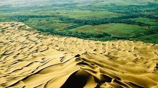 How China is Reforesting the Gobi  Desert into Forest - The Great Green Wall