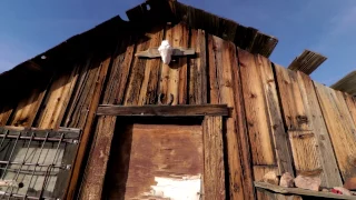 ABANDONED Cabin In The Middle Of Nowhere