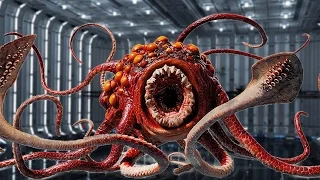 10 Weirdest CREATURES in STAR WARS