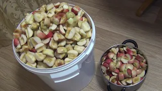 Яблочный самогон или кальвадос  как сделать брагу из яблок