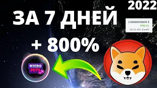 Micropets token, Иксы на крипте, Дешевые монеты, СИБО ИНУ.