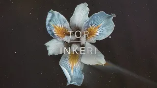 Tor - Inkeri (Official Audio)