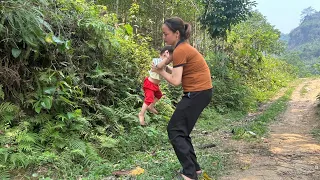 17-year-old single mother harvests papaya and helps a lost baby find his mother - Lee Tieu Ca