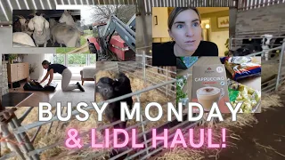 BUSY MONFAY & LIDL HAUL | DITL MUM OF 3