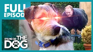 The Man Hating Terrier: Toby | Full Episode | It's Me or the Dog