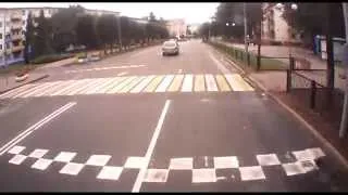 Как коты переходят дорогу