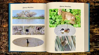 Merced National Wildlife Refuge, Merced, California