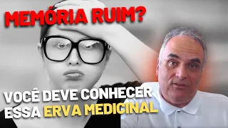 Conheça a erva que AUMENTA SUA LIBIDO e detona o ESQUECIMENTO! | Dr. Marco Menelau