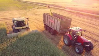 GPS Häckseln 2023 | Case Optum/Puma, Krone Big X, New Holland | Benas Biogas