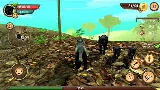 Wild Panther Sim 3D Android Gameplay HD #5