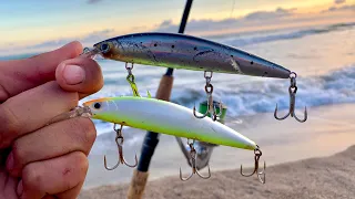 RÓBALO GRANDE de PLAYA || pesca con MINNOW || JERKBAIT || MEDIA AGUA|| pesca de ORILLA.