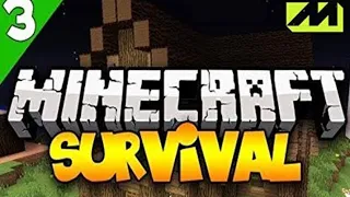 Minecraft survival series #3