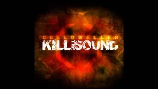 Celldweller -  Kill The Sound