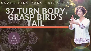 Movement 37 Guang Ping Yang Taijiquan Turn Grasp Bird's Tail