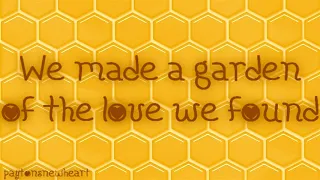 Honeybee - The Head And The Heart (LYRICS) #Honeybee #TheHeadAndTheHeart #Lyrics