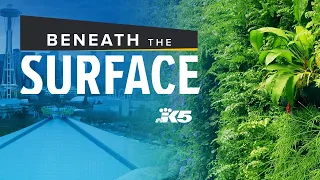 Beneath the Surface | Episode 3: Live Events and a Living Wall