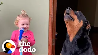 Loyal Rottweiler Copies Everything Her Baby Sister Does | The Dodo Soulmates