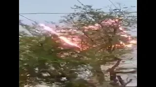 Electrical Line Fire | Trees Under High Voltage Electric Lines