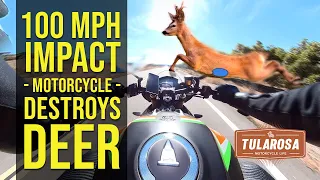 Motorcycle Strikes Deer at 100 MPH: Frame by Frame Breakdown of Accident