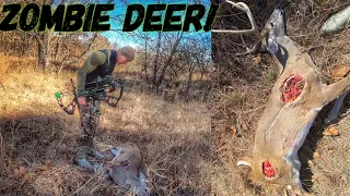 I SHOT A ZOMBIE DEER W/ My BOW 😳 | Bowmar Bowhunting |