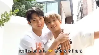 just wonwoo being talkative around mingyu