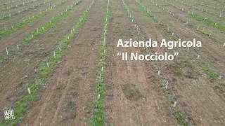 Azienda Agricola il Nocciolo (PG) vista dal drone