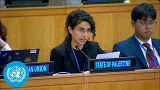 Humanitarian Affairs Committee on Israel/Gaza & other High Concerns | United Nations | ⚙️ Language
